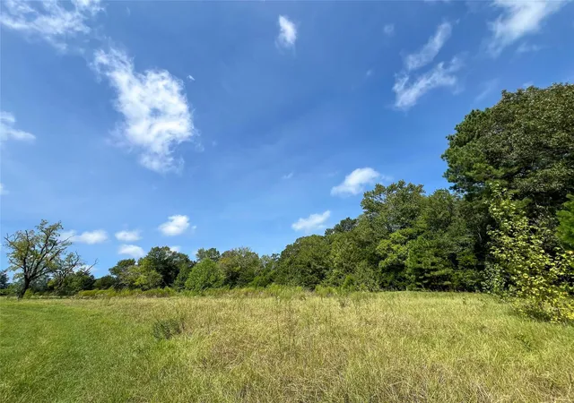 Photo 4 of Land for sale at 1 County Rd 3330, Jacksonville, TX 75766 | MLS# 89846134 | Listing updated on 2026-09-18