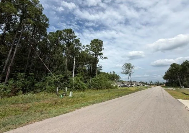 Photo 3 of Land for sale at 1527 Road 66114, Dayton, TX 77535 | MLS# 37262299 | Listing updated on 2026-09-03