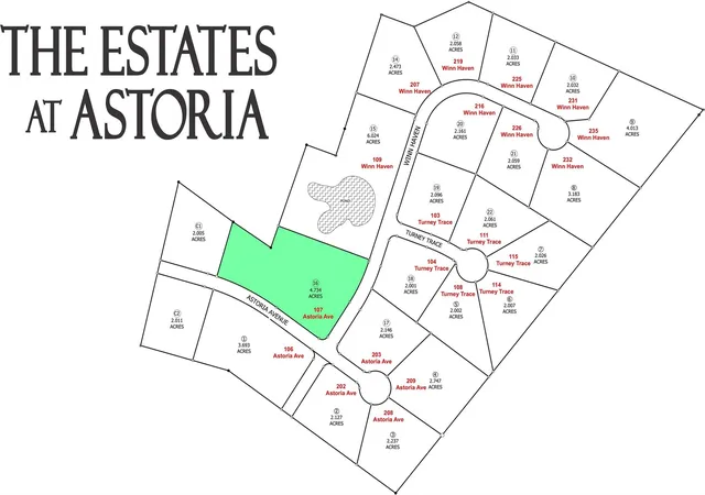 Photo 1 of Land for sale at 107 Astoria Ave, Round Top, TX 78954 | MLS# 61255352 | Listing updated on 2026-09-05