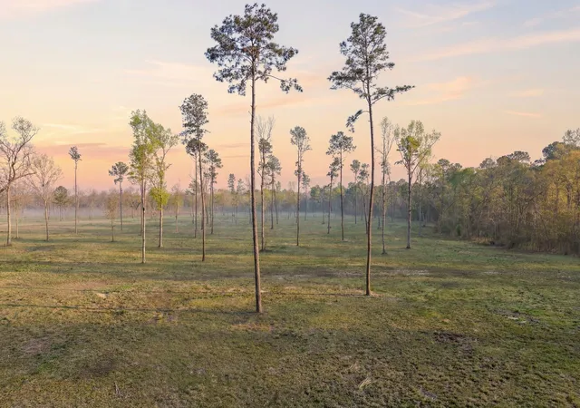 Photo 1 of Land for sale at Lot 5 Johnson Dr, Livingston, TX 77351 | MLS# 47058905 | Listing updated on 2026-09-14