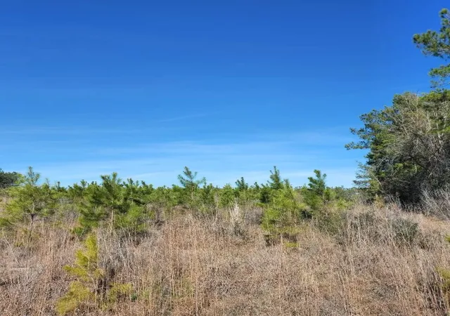 Photo 3 of Land for sale at 26827 Us 59 Rd, Corrigan, TX 75939 | MLS# 74240147 | Listing updated on 2026-09-02