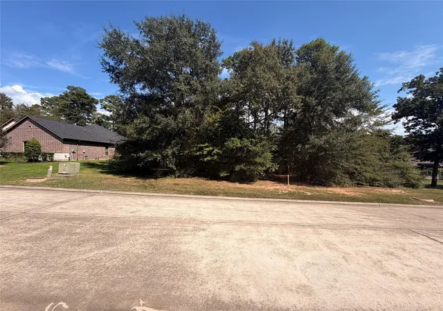 Land for sale at 313 Pine Brk Dr, Montgomery, TX 77356 | MLS# 9069265