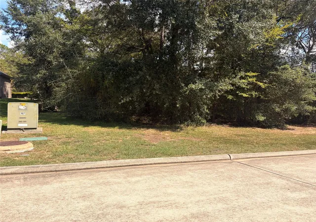 Photo 3 of Land for sale at 313 Pine Brk Dr, Montgomery, TX 77356 | MLS# 9069265 | Listing updated on 2026-09-09