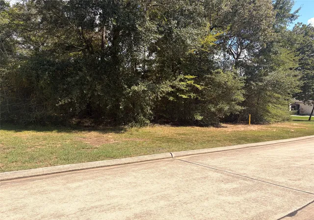 Photo 3 of Land for sale at 313 Pine Brk Dr, Montgomery, TX 77356 | MLS# 9069265 | Listing updated on 2026-09-09