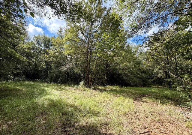 Photo 1 of Land for sale at 7217 Prairie 2110, Centerville, TX 75833 | MLS# 39508191 | Listing updated on 2026-09-17