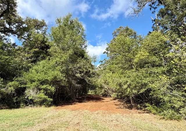 Photo 3 of Land for sale at 7217 Prairie 2110, Centerville, TX 75833 | MLS# 39508191 | Listing updated on 2026-09-17