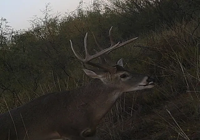 Photo 1 of Land for sale at Nka Buckle L Rd, Childress, TX 79201 | MLS# 12109190 | Listing updated on 2026-09-10