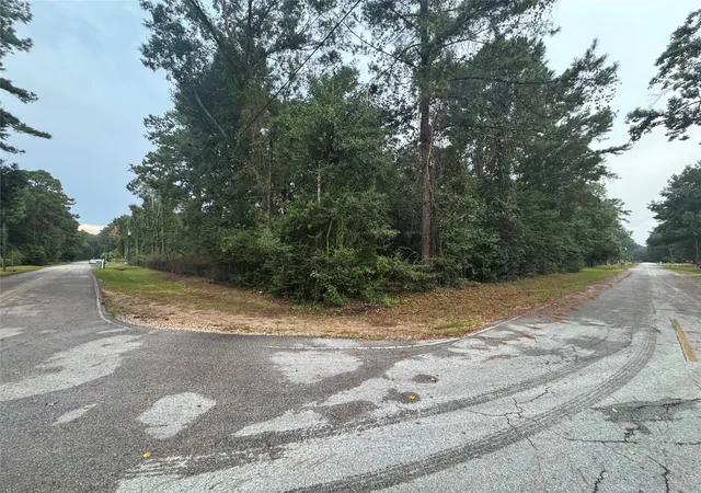 Photo 3 of Land for sale at 343 Wild Oak Dr, Huffman, TX 77336 | MLS# 67497382 | Listing updated on 2026-09-08