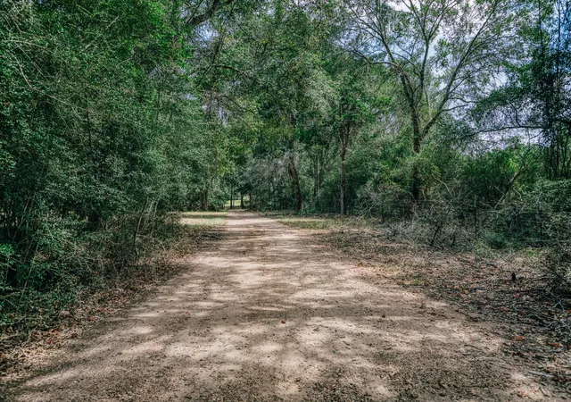 Photo 4 of Land for sale at 1020 Thunder Ln, New Ulm, TX 78950 | MLS# 34223894 | Listing updated on 2026-09-02