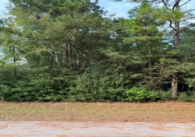 Photo 1 of Land for sale at 0 Tbd Little John Cir, Hockley, TX 77447 | MLS# 92586849 | Listing updated on 2026-09-03