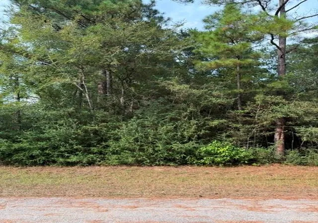 Photo 2 of Land for sale at 0 Tbd Little John Cir, Hockley, TX 77447 | MLS# 92586849 | Listing updated on 2026-09-03