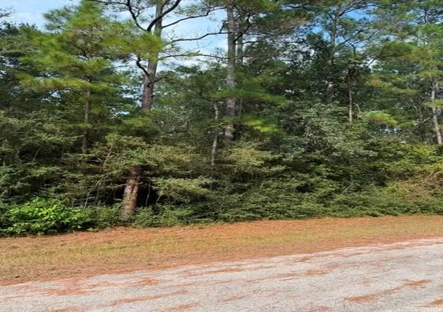 Photo 3 of Land for sale at 0 Tbd Little John Cir, Hockley, TX 77447 | MLS# 92586849 | Listing updated on 2026-09-03