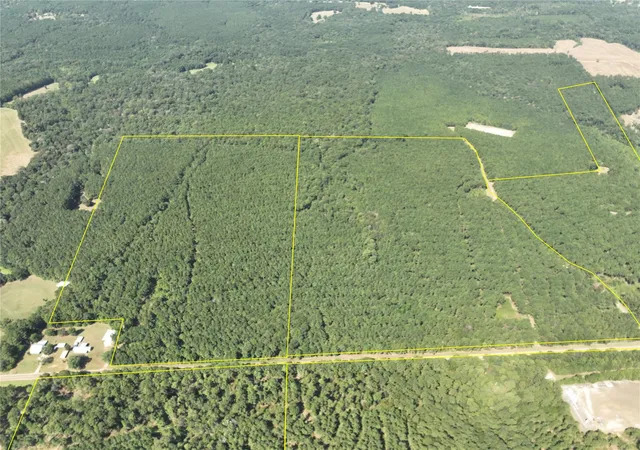 Photo 1 of Land for sale at T 4 Fm 256, Woodville, TX 75979 | MLS# 80805695 | Listing updated on 2026-08-31