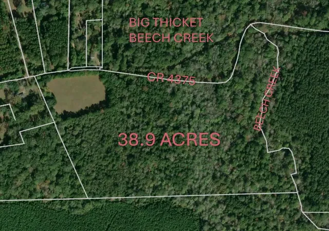 Photo 3 of Land for sale at 1340 County Rd 4375, Woodville, TX 77660 | MLS# 9578374 | Listing updated on 2026-09-12
