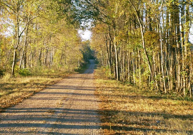 Photo 2 of Land for sale at 77 Raccoon Ramble, Cleveland, TX 77327 | MLS# 92116190 | Listing updated on 2026-09-17