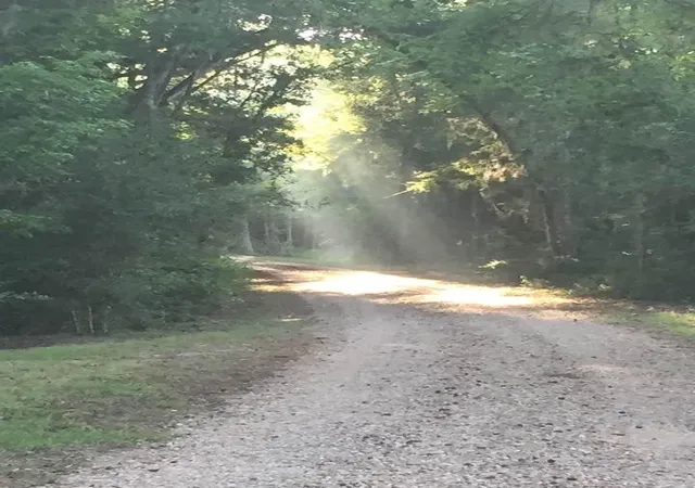Photo 3 of Land for sale at 77 Raccoon Ramble, Cleveland, TX 77327 | MLS# 92116190 | Listing updated on 2026-09-17