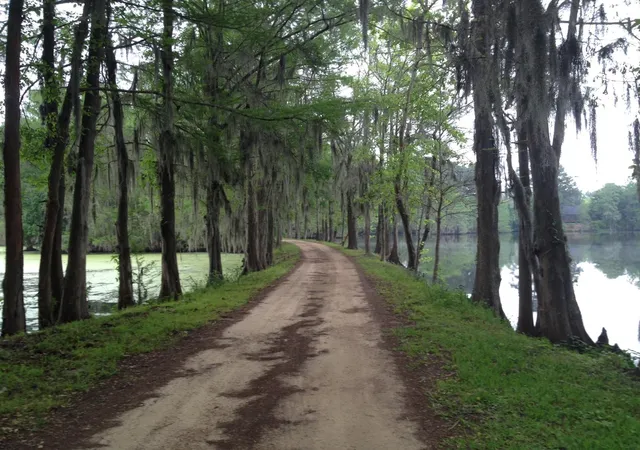 Photo 3 of Land for sale at 77 Raccoon Ramble, Cleveland, TX 77327 | MLS# 92116190 | Listing updated on 2026-09-17