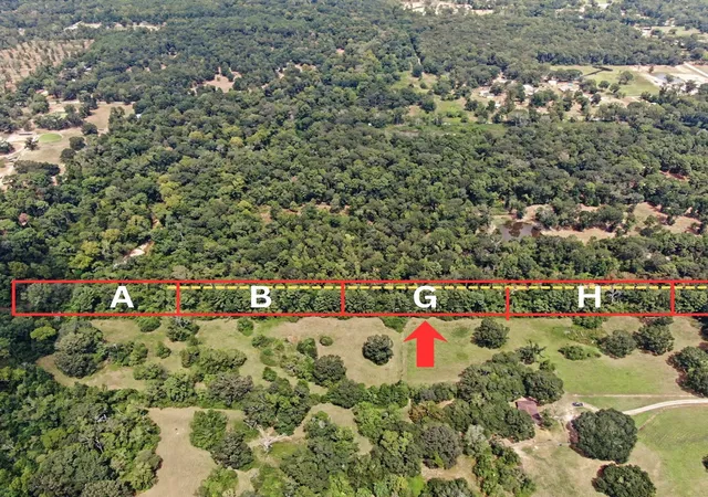 Photo 1 of Land for sale at G Hayden Rd, Conroe, TX 77306 | MLS# 12742004 | Listing updated on 2026-09-07