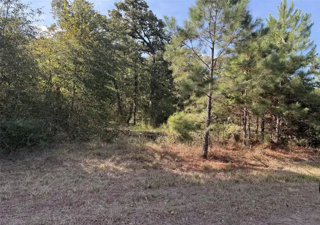 Photo 2 of Sale Pending at Tbd Deer Trl, Hockley, TX 77447 | MLS# 38084667 | Listing updated on 2026-10-06