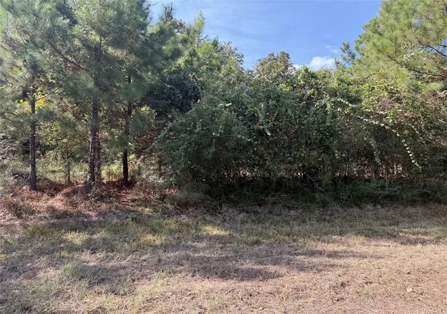 Photo 3 of Sale Pending at Tbd Deer Trl, Hockley, TX 77447 | MLS# 38084667 | Listing updated on 2026-10-06