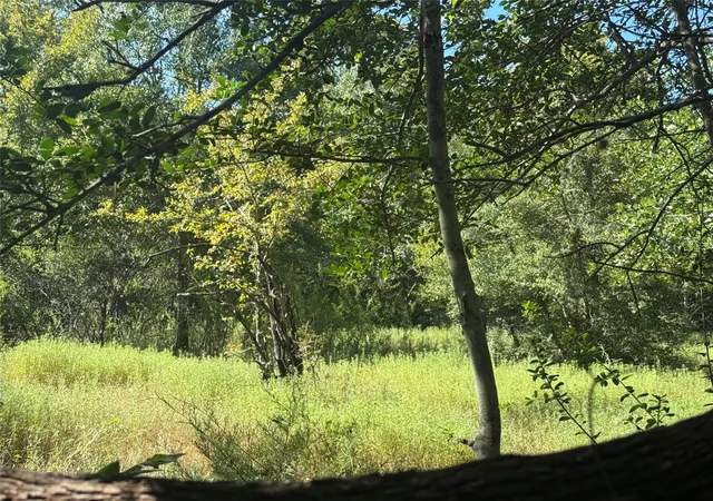 Photo 3 of Land for sale at 16547 Highway 105, Washington, TX 77880 | MLS# 48779595 | Listing updated on 2026-09-21