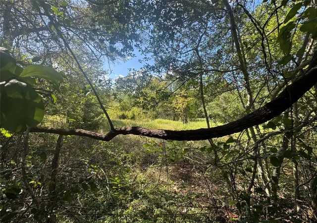 Photo 4 of Land for sale at 16547 Highway 105, Washington, TX 77880 | MLS# 48779595 | Listing updated on 2026-09-21