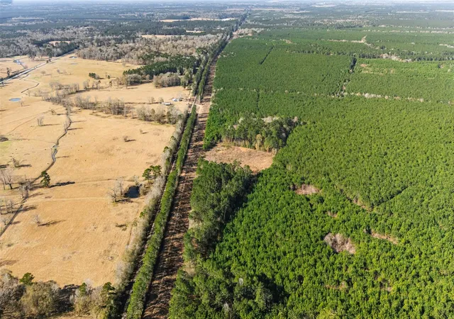 Photo 2 of Land for sale at 1495 County Rd 2200, Cleveland, TX 77327 | MLS# 5806618 | Listing updated on 2026-09-02