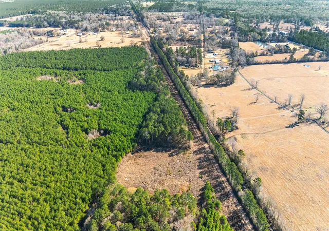 Photo 4 of Land for sale at 1495 County Rd 2200, Cleveland, TX 77327 | MLS# 5806618 | Listing updated on 2026-09-02