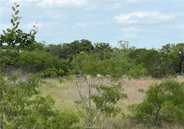 Photo 1 of Land for sale at Tbd Tonkaway Lake Pvt Rd, College Station, TX 77845 | MLS# 97616554 | Listing updated on 2026-09-23