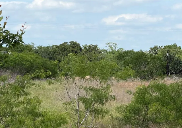 Photo 2 of Land for sale at Tbd Tonkaway Lake Pvt Rd, College Station, TX 77845 | MLS# 97616554 | Listing updated on 2026-09-23
