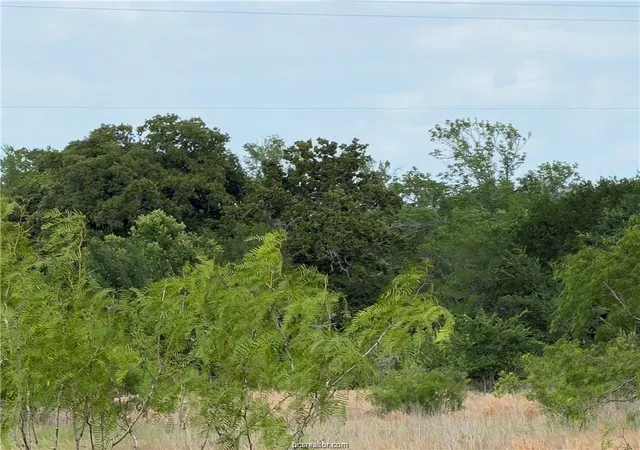 Photo 3 of Land for sale at Tbd Tonkaway Lake Pvt Rd, College Station, TX 77845 | MLS# 97616554 | Listing updated on 2026-09-23