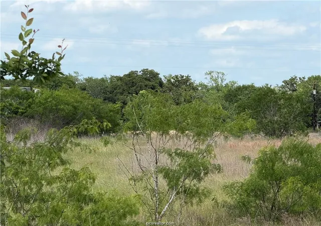 Photo 4 of Land for sale at Tbd Tonkaway Lake Pvt Rd, College Station, TX 77845 | MLS# 97616554 | Listing updated on 2026-09-23