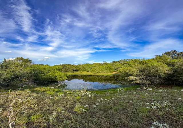 Photo 3 of Land for sale at Tbd Oil Fld Rd, Brenham, TX 77833 | MLS# 94062056 | Listing updated on 2026-09-22