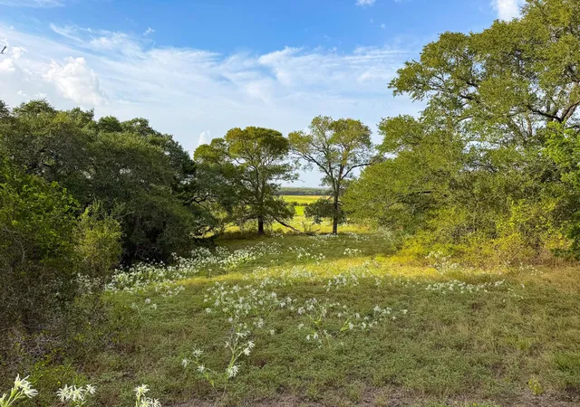 Photo 4 of Land for sale at Tbd Oil Fld Rd, Brenham, TX 77833 | MLS# 94062056 | Listing updated on 2026-09-22