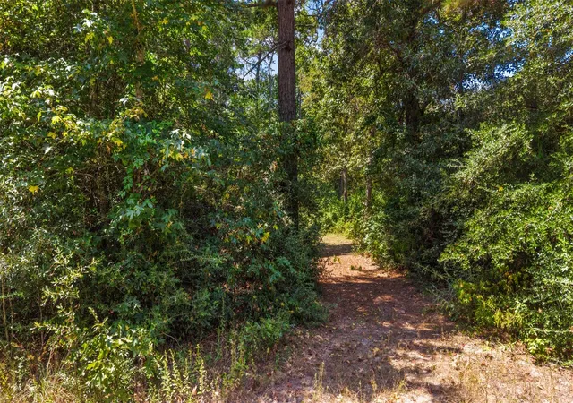 Photo 3 of Land for sale at 19296 Riverwalk Dr, Porter, TX 77365 | MLS# 91169997 | Listing updated on 2026-09-22