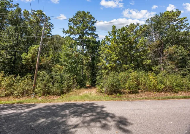 Photo 4 of Land for sale at 19296 Riverwalk Dr, Porter, TX 77365 | MLS# 91169997 | Listing updated on 2026-09-22