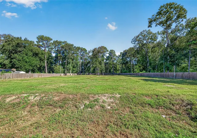 Photo 3 of Land for sale at 369 County Rd 356, New Caney, TX 77357 | MLS# 51135109 | Listing updated on 2026-09-23