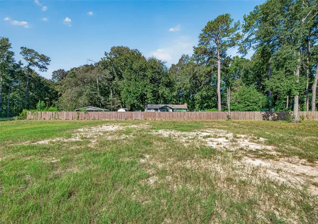 Photo 4 of Land for sale at 369 County Rd 356, New Caney, TX 77357 | MLS# 51135109 | Listing updated on 2026-09-23
