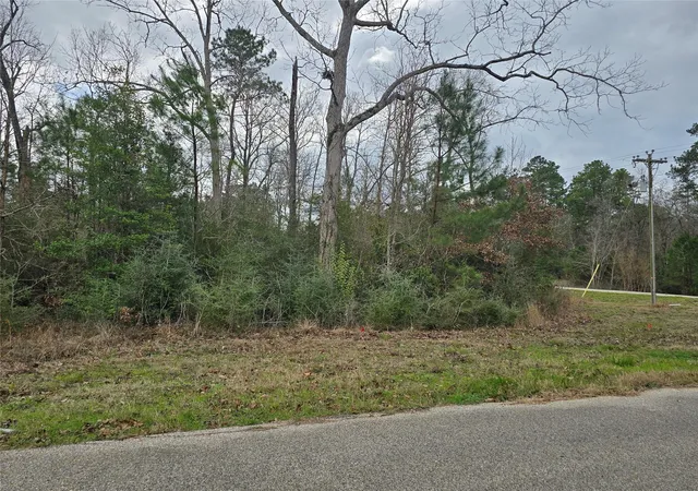Photo 2 of Land for sale at 74 County Rd 6323, Dayton, TX 77535 | MLS# 10969445 | Listing updated on 2026-09-15