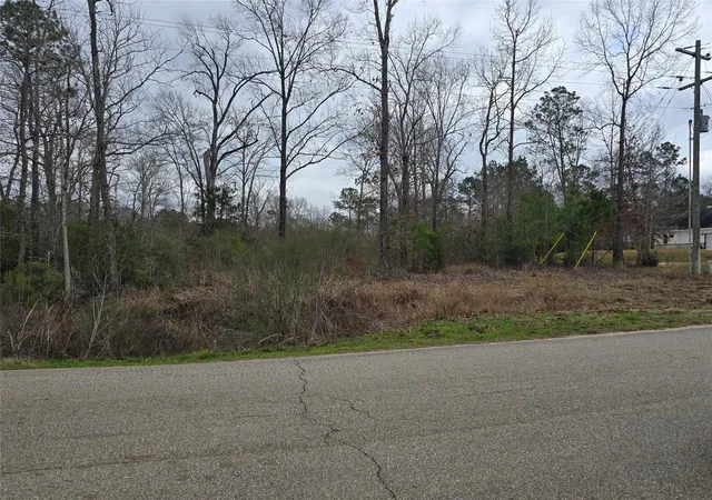 Photo 4 of Land for sale at 74 County Rd 6323, Dayton, TX 77535 | MLS# 10969445 | Listing updated on 2026-09-15
