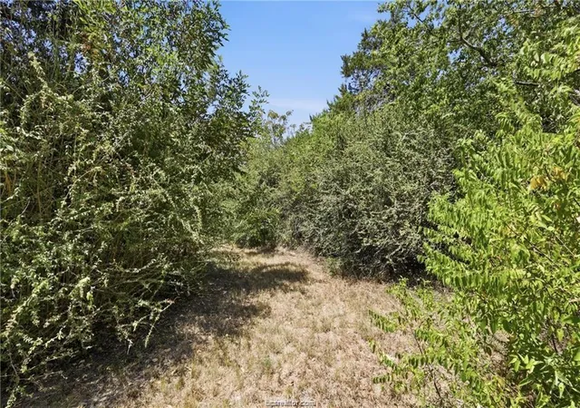 Listing Photo 5 - Condo for sale in building located at 1308 N Sims Ave, Bryan, TX 77803