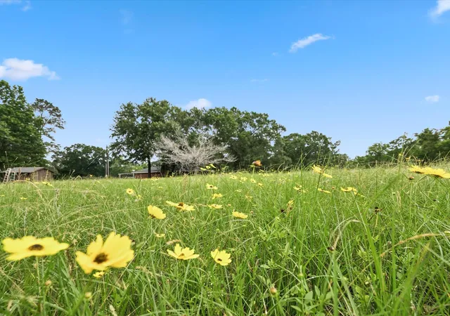 Photo 6 of Land for sale at 26523 Dobbin Huffsmith Rd, Magnolia, TX 77354 | MLS# 59668091 | Listing updated on 2026-09-02