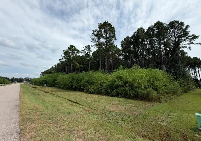 Photo 1 of Land for sale at 197 County Road 6614, Dayton, TX 77535 | MLS# 67290581 | Listing updated on 2026-09-03