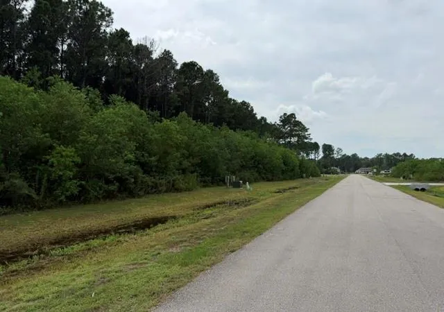 Photo 4 of Land for sale at 197 County Road 6614, Dayton, TX 77535 | MLS# 67290581 | Listing updated on 2026-09-03
