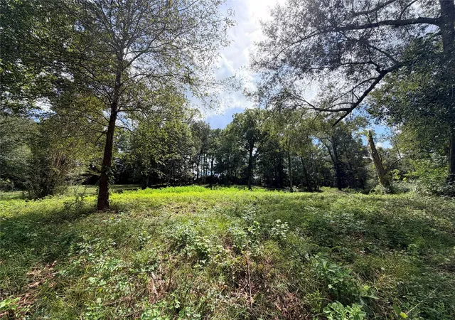 Photo 1 of Land for sale at 2049 Us Hwy 190 W, Woodville, TX 75979 | MLS# 46220777 | Listing updated on 2026-09-15