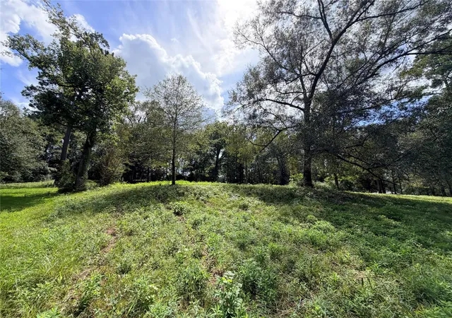 Photo 3 of Land for sale at 2049 Us Hwy 190 W, Woodville, TX 75979 | MLS# 46220777 | Listing updated on 2026-09-15