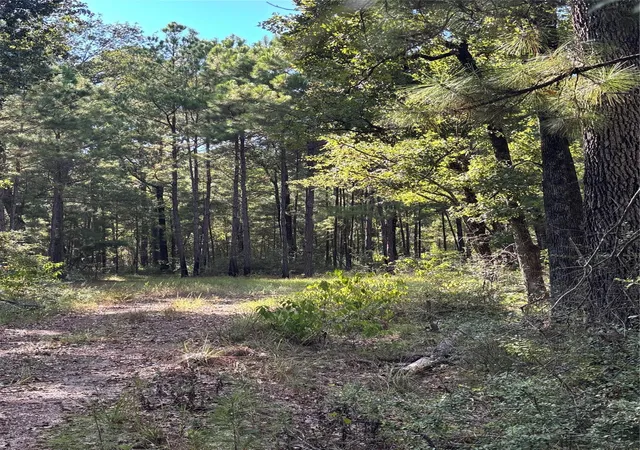 Photo 3 of Sale Pending at 980 Fm 980, Huntsville, TX 77320 | MLS# 22729441 | Listing updated on 2026-09-22