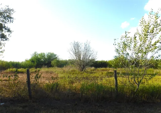 Photo 3 of Single family home for sale at 1142 Chestnut Ln, Wallis, TX 77485 | MLS# 6086505 | Listing updated on 2026-09-15