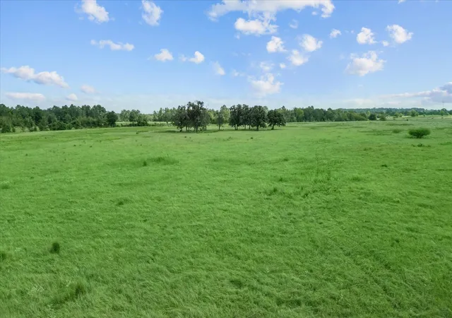 Photo 4 of Land for sale at 000 State Hwy 75 N, Huntsville, TX 77320 | MLS# 56161041 | Listing updated on 2026-09-23