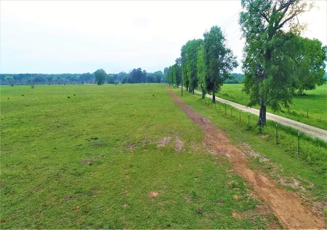 Photo 2 of Land for sale at 749 County Road 4110, Crockett, TX 75835 | MLS# 96689810 | Listing updated on 2026-09-03